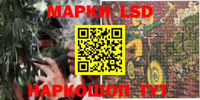 мет Кингисепп