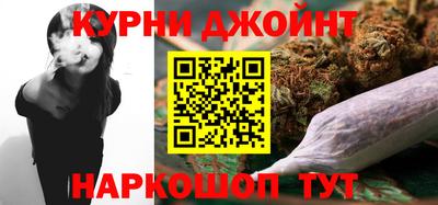 мет Кингисепп