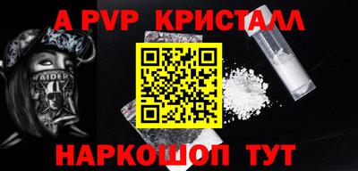 мет Кингисепп