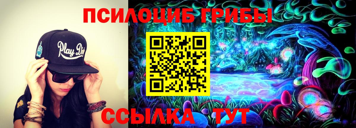 цена наркотик  Вход с VPN  Вологда  Галлюциногенные грибы ЛСД 