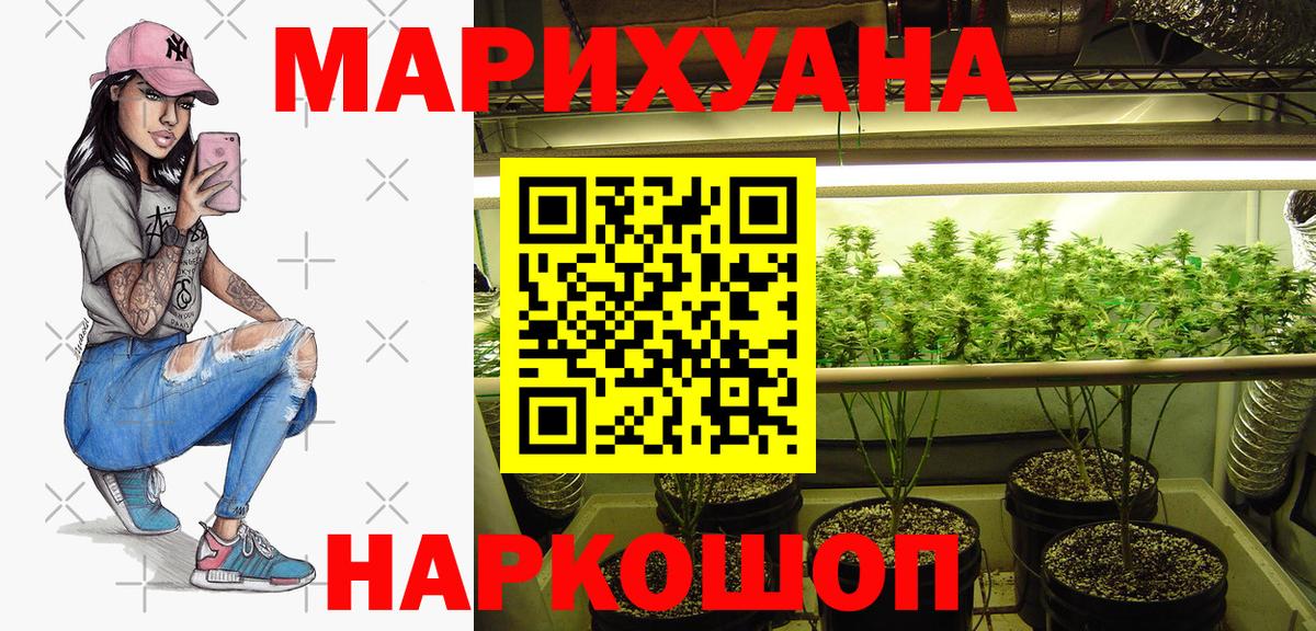 Бошки марихуана семена  Вход с VPN  Вологда  Каннабис Amnesia 